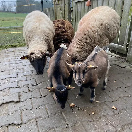Baerenhof